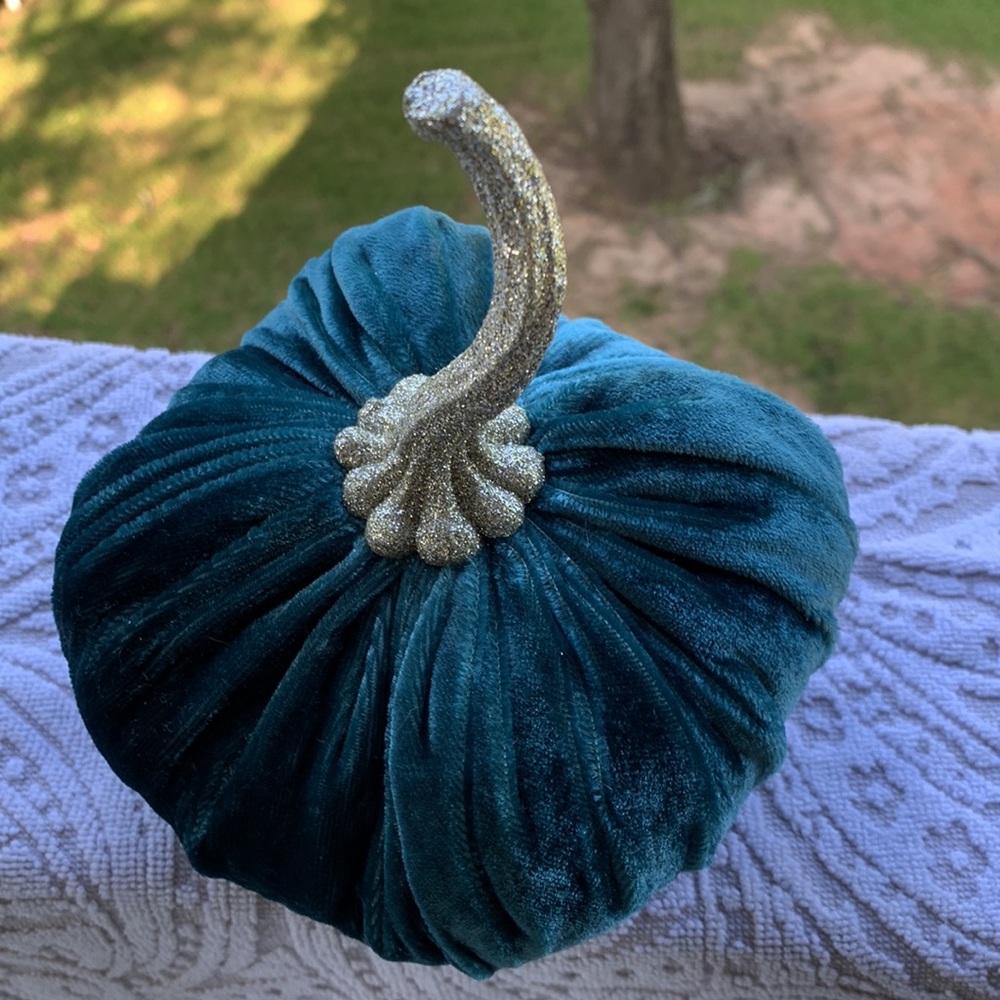 Beautiful teal velvet pumpkin - Picture 2 of 3